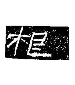 根隶书书法写法高清图片