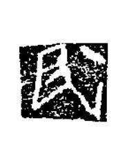 氏楷书书法写法高清图片