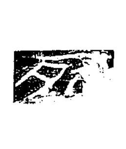 死隶书书法写法高清图片