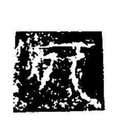 死隶书书法写法高清图片