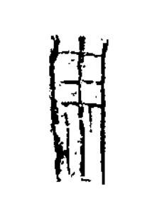 歳篆书书法写法高清图片