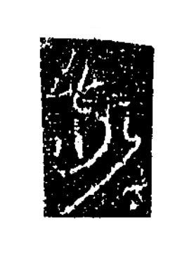 我草书书法写法高清图片