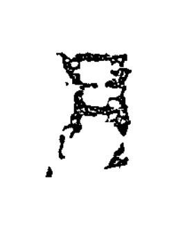 月隶书书法写法高清图片