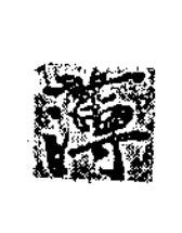 薄楷书书法写法高清图片