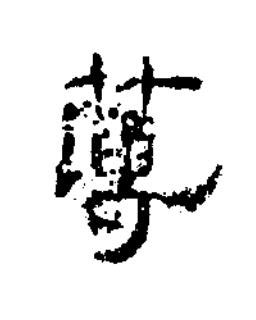 薄隶书书法写法高清图片