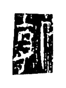 郭隶书书法写法高清图片