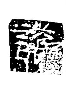 護隶书书法写法高清图片
