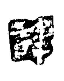 諱楷书书法写法高清图片