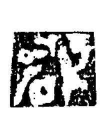郡楷书书法写法高清图片