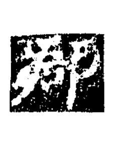 郡楷书书法写法高清图片