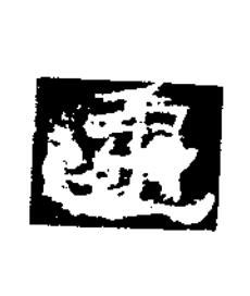 遷隶书书法写法高清图片
