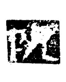 阮隶书书法写法高清图片