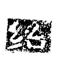 紹楷书书法写法高清图片
