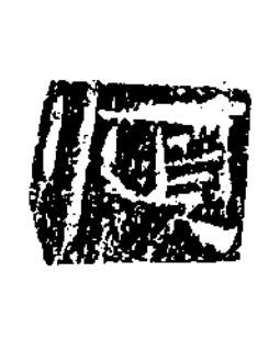 順隶书书法写法高清图片