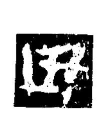 田楷书书法写法高清图片