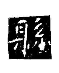 縣楷书书法写法高清图片