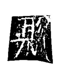 縣隶书书法写法高清图片