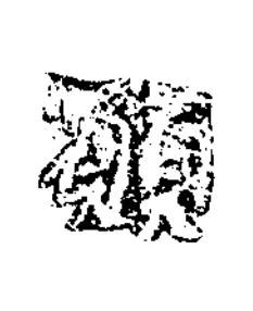 願楷书书法写法高清图片
