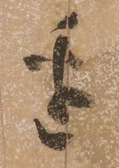 邊草书书法写法高清图片
