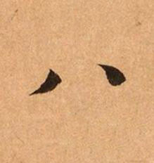 八楷书书法写法高清图片