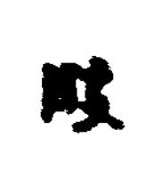 般篆书书法写法高清图片