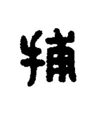 捕篆刻书法写法高清图片