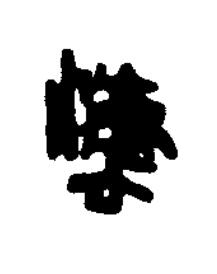 灋篆书书法写法高清图片