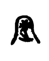 岡篆书书法写法高清图片
