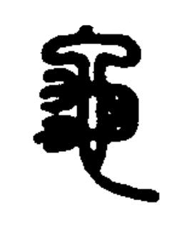 龜篆书书法写法高清图片