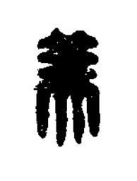 美篆刻书法写法高清图片