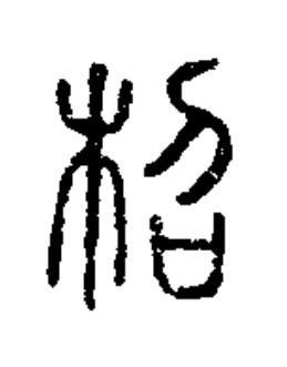 柖篆书书法写法高清图片