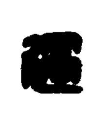 適篆刻书法写法高清图片