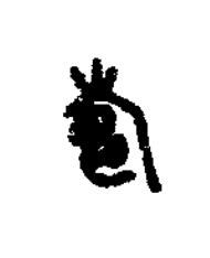壽篆书书法写法高清图片
