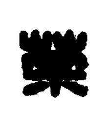 荼篆刻书法写法高清图片