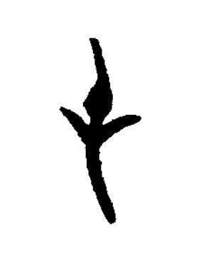 屯篆书书法写法高清图片