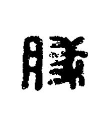 豚篆刻书法写法高清图片