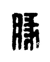 豚篆刻书法写法高清图片