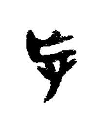 忘篆书书法写法高清图片