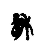 縣篆书书法写法高清图片