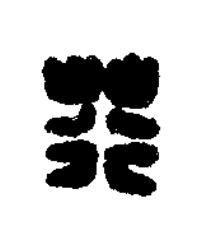荇篆刻书法写法高清图片