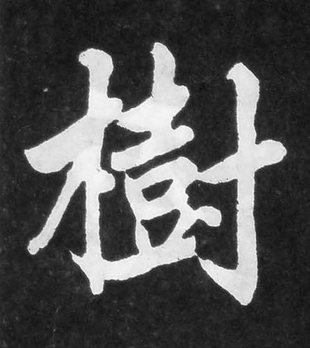 樹楷书书法写法高清图片