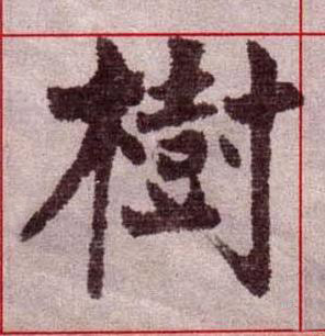樹楷书书法写法高清图片