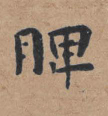 脾楷书书法写法高清图片
