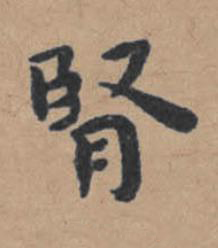 腎楷书书法写法高清图片