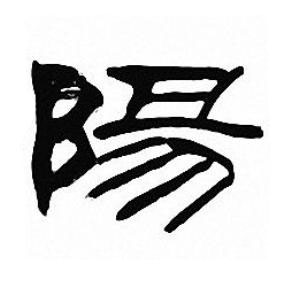 陽隶书书法写法高清图片