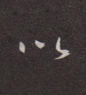 以行书书法写法高清图片