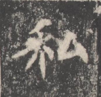 私楷书书法写法高清图片