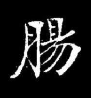 腸楷书书法写法高清图片