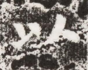 以楷书书法写法高清图片