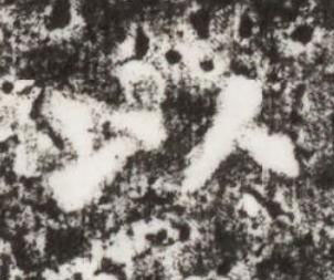 以楷书书法写法高清图片